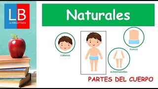 Las PARTES del CUERPO para niños ✔👩‍🏫 PRIMARIA [upl. by Menis968]