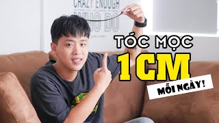 Cách Mọc Tóc Thật Nhanh Để Đón Tết 1cm Mỗi Ngày [upl. by Tawsha161]