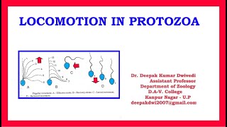 Locomotion in Protozoa [upl. by Tilden]