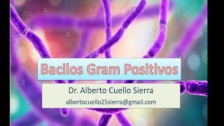 Microbiologia Bacilos Gram Positivos Antrax y Bacillus cereus 1 Parte [upl. by Sualohcin]