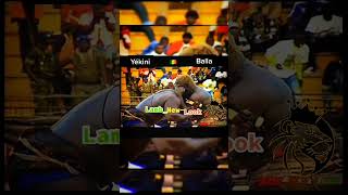 balla gaye 2 vs yekini 2012 combat 🤼‍♂️ ROYALE 👑 🇸🇳 shorts abonnés vous [upl. by Cockburn]