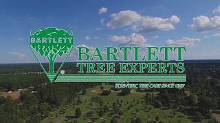 Careers in Arboriculture at Bartlett Tree Experts [upl. by Kremer]