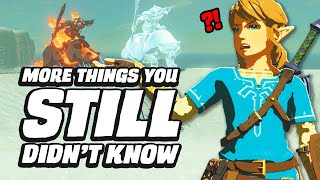 33 MORE Things You STILL Didnt Know In Zelda Breath Of The Wild [upl. by Iznil412]