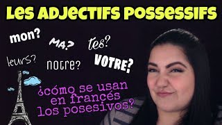 adjetivos posesivos en frances  ProfOriZulu [upl. by Lenuahs]