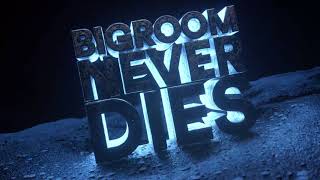 Hardwell amp Blasterjaxx feat Mitch Crown  Bigroom Never Dies Visual Video [upl. by Sedda]