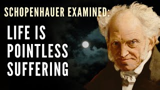 The Philosophy of Schopenhauer Explained  Life is Meaningless Suffering Philosophical Pessimism [upl. by Kellsie]