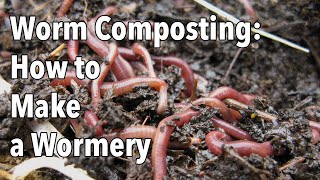 Worm Composting How to Make a Wormery [upl. by Zerk]