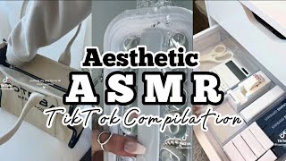 Aesthetic ASMR  TikTok Compilation  Dina Aesthetix [upl. by Joab]