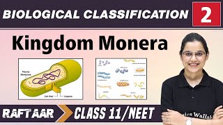 Biological Classification 02  Kingdom Monera  Class 11NEET  RAFTAAR [upl. by Singleton196]