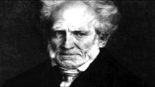 Schopenhauer  Le monde comme volonté et comme représentation [upl. by Bruno]