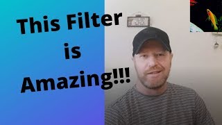 Cascade 600 Filter Review [upl. by Lleunamme988]