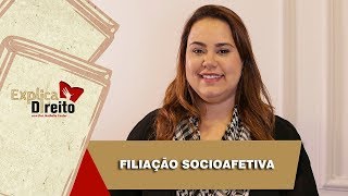 Explica Direito Filiação Socioafetiva  2019 [upl. by Nerrej123]