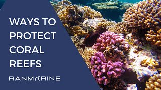 Ways to Protect Coral Reefs  RanMarine Techology [upl. by Orman]