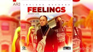 Arjaylol  Feelings Official Audio [upl. by Elbertina]