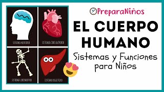 EL CUERPO HUMANO PARA NIÑOS DE PRIMARIA ⏰ PreparaNiñoscom [upl. by Chancelor785]