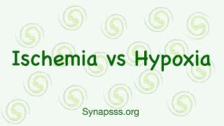 Hypoxia vs Ischemia differences definitions [upl. by Idolla]