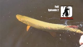 Musky Fishing a Wild River in Minnesota [upl. by Ylus]