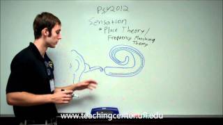 Place Theory and Frequency Matching Theory [upl. by Graff]