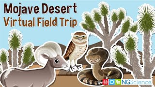 Mojave Desert – Virtual Field Trip [upl. by Eellehs644]