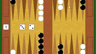 How To Play  Backgammon  The Basics  A Sample Game [upl. by Nica]