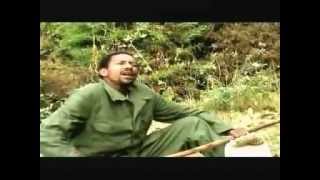 Ethiopian Music Fasil Demoz [upl. by Ajax]