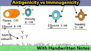 Antigenicity and Immunogenicity  Immunology Lecture 20 [upl. by Am]