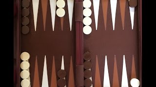 How To Play Backgammon [upl. by Lock]