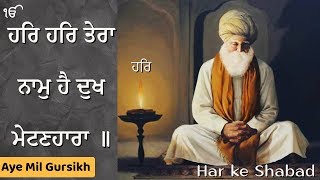 har har tera naam hai dukh metin hara  full shabad  aye mil gursikh  bhai dalbir singh ji [upl. by Aleahs]