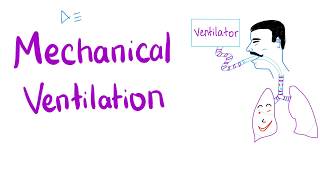 Mechanical Ventilation  Most COMPREHENSIVE Explanation 🤫 [upl. by Aseel366]