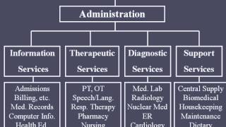 Hospital Organizational Structure [upl. by Garceau]