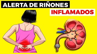 Síntomas de RIÑONES INFLAMADOS nefritis tipos causas diagnóstico tratamiento [upl. by Atin]