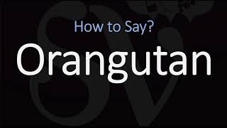 How to Pronounce Orangutan CORRECTLY [upl. by Olympium]