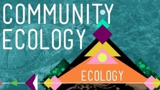 Community Ecology Feel the Love  Crash Course Ecology 4 [upl. by Nas]