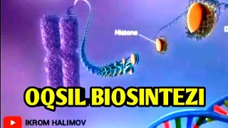 OQSIL BIOSINTEZI  2 daqiqada  ОКСИЛ БИОСИНТЕЗИ 2021 [upl. by Danzig389]