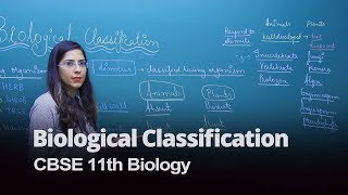 Biological Classification CBSE 11th Biology in English  Misostudy [upl. by Otxilac]