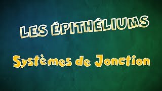 Le Tissu épithélial Épithéliums  Systèmes de Jonction [upl. by Jegger]