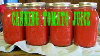 Homemade Tomato Juice [upl. by Viveca504]