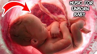 Music for unborn baby  Brain development  Relax [upl. by Barrie404]