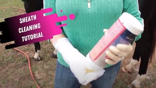 Sheath Cleaning Tutorial for Horses [upl. by Nohcim]