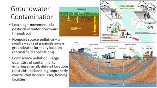 Environmental Concerns of Pesticide Use [upl. by Rakso464]