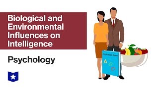 Biological and Environmental Influences on Intelligence  Psychology [upl. by Gautious]