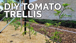 3 DIY Tomato Trellis Ideas Perfect for ANY Budget 🍅 [upl. by Akeenat]