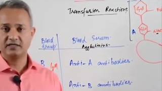 Blood Typing and Agglutination Reactions [upl. by Phip]