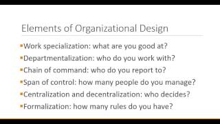 Principles of Management Organizational Design [upl. by Hal608]