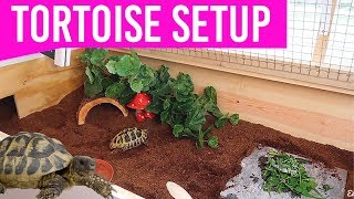 NEW Setting Up My Tortoise Enclosure  DIY Tortoise Table House [upl. by Ambrose]