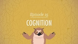 Cognition  How Your Mind Can Amaze and Betray You Crash Course Psychology 15 [upl. by Saxena]