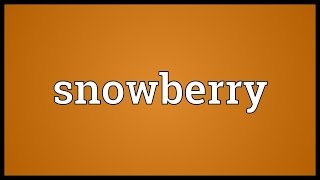 Snowberry Meaning [upl. by Llewoh]