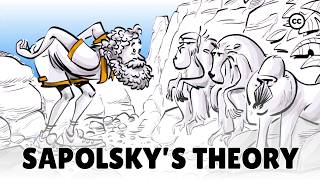 Sapolsky’s Theory of Evolutionary Psychology [upl. by Mushro289]