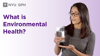 What is Environmental Health [upl. by Tillio]