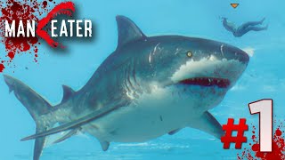 JAWS HAS RETURNED  Maneater Gameplay  Part 1 [upl. by Yeoz]